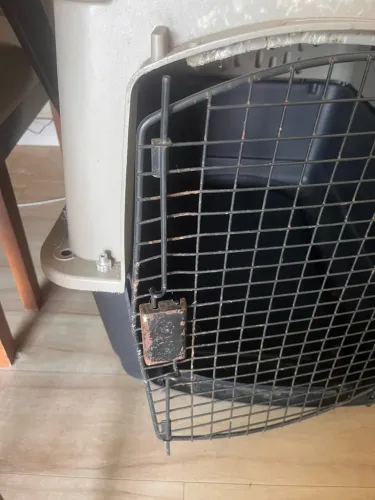 Caixa de transporte pet