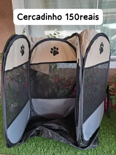 Itens para pet