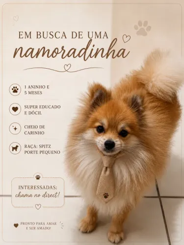 Spitz alemão