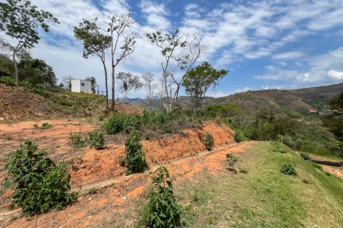 Terreno ensolarado em Secretário