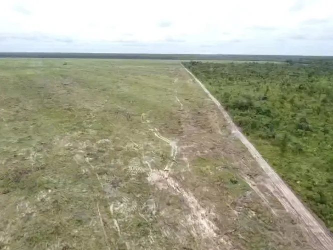 SANTA QUITÉRIA-MA: Área de fazenda à venda avista ou parcelada de 6.000 hectares