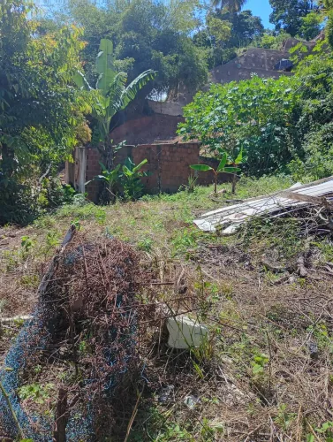 Terreno 14 por 14