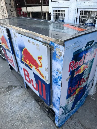 FREEZER EXPOSITOR
