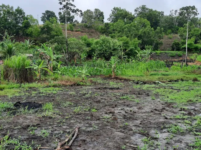 Terreno em Branquinha. Medindo 10x35 bem localizado.