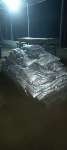 Paú de 10 kilos triturado e embalado a vácuo, a pronta entrega,no valor de 15.a unidade.