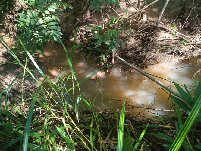 chácara 50 km Goiânia com córrego