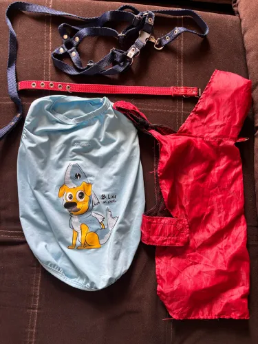 Kit Pet Completo para Filhotes / Porte Pequeno ?  