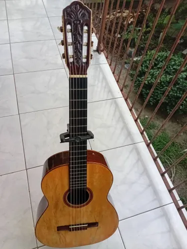 Digiorgio autor 3