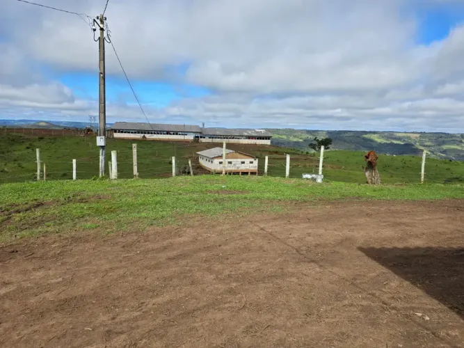 Fazenda Pecuária ou Silvicultura  Pinhão/PR