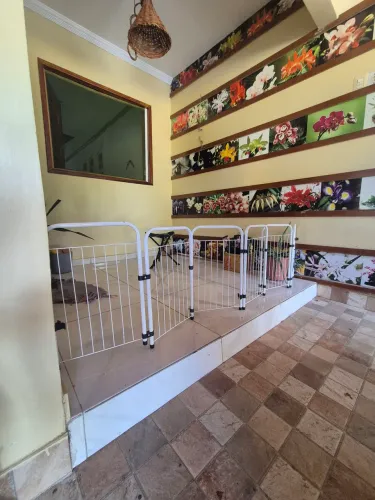 Grande de proteçao para cães 