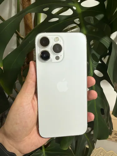 iPhone 14 Pro Max Silver