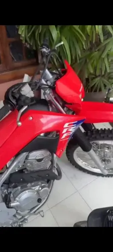 Crf 250 ano 2025