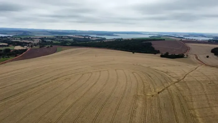 Fazenda a Venda Avaré 100 alqueires