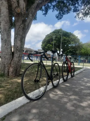 Bicicleta speed single