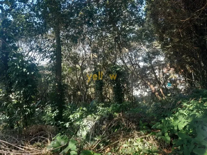 Terreno de Condominio em Condomínio Arujazinho I, II e III - Arujá, SP