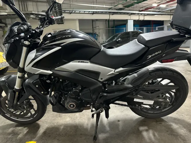 Dominar 250