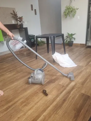 Aspirador De Pó Sem Saco Electrolux 1400w Lite