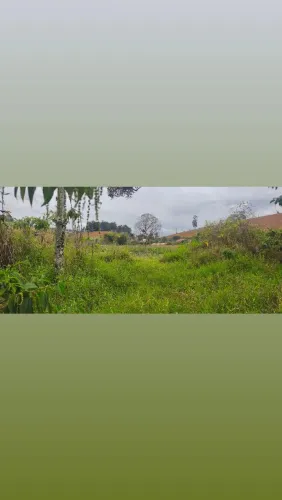 VENDO TERRENO NO BAIRRO DOS PEREIRAS - MG