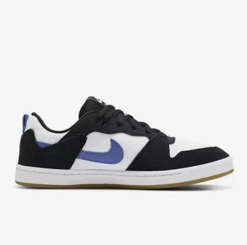 Nike Authentic SB Alleyoop