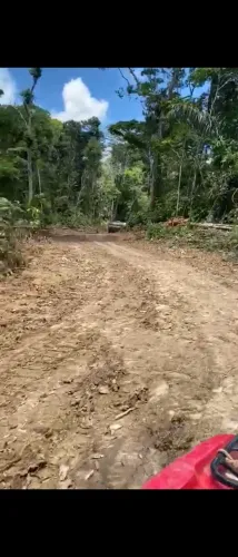 VENDO FAZENDA 1200 hec BRUTA REGIÃO DE AMAJARI RORAIMA ( 6100 )