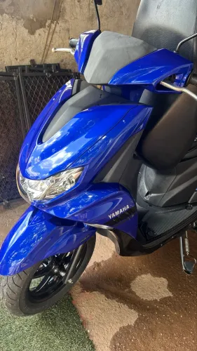 Moto automática fluo 2024