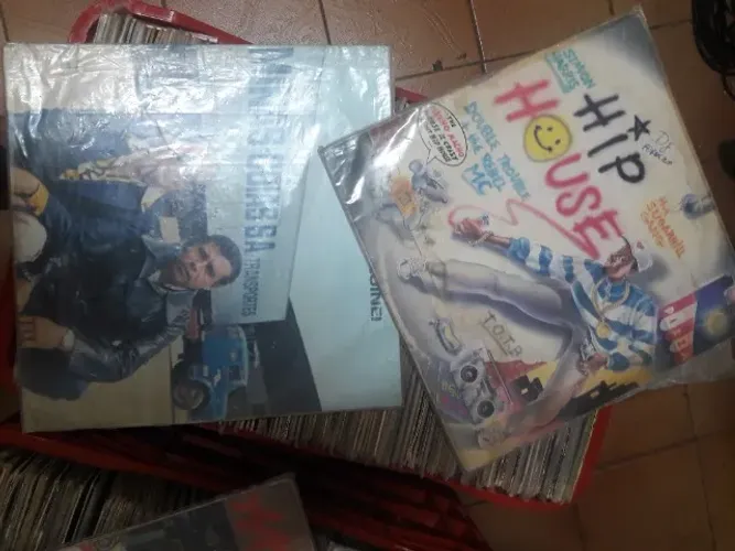 Discos de Vinil Flashback e Sertanejos