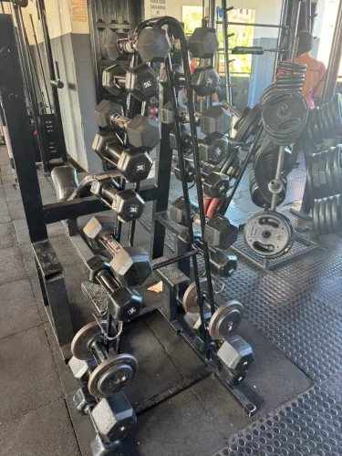 Suporte halteres variados