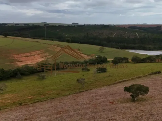 Fazenda com 152 alqueires na região de Buri-SP