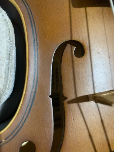 VIOLINO VOGGA