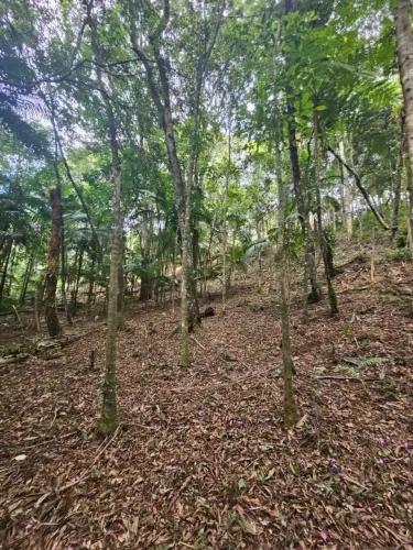 Terreno próximo ao centro de Juquitiba