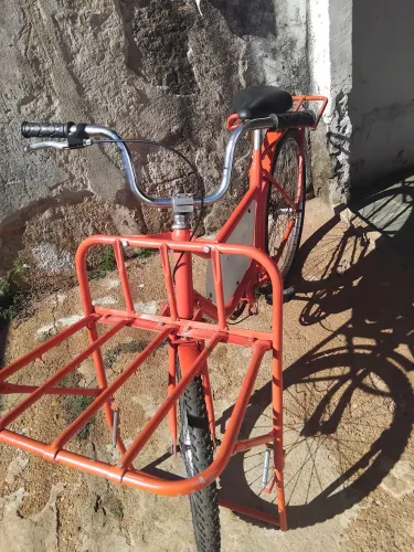 Bicicleta cargueira reforçada 