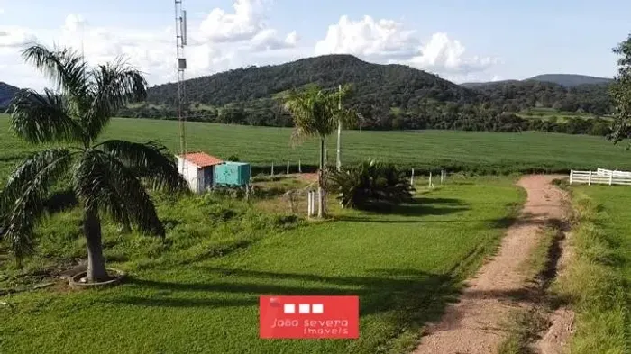 Fazenda para Venda em São Francisco de Goiás, 13 dormitórios, 13 suítes, 13 banheiros