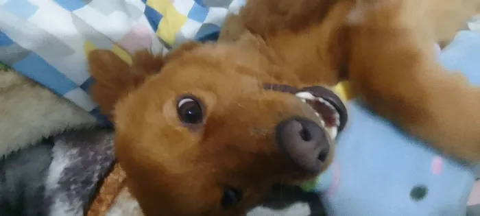 Doação