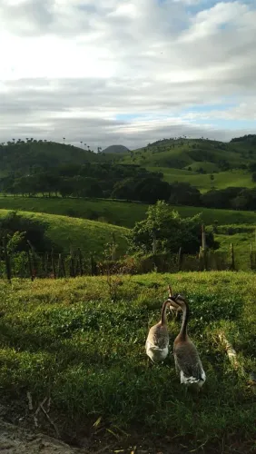 Vendo Lotes em Viçosa Parcelado