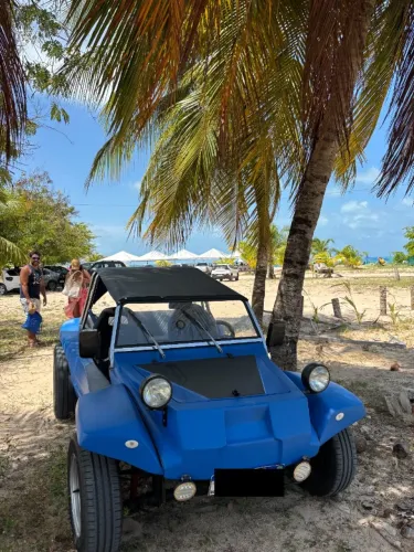 Volkswagen Buggy 1.6 8V Gasolina 2P Manual 1978