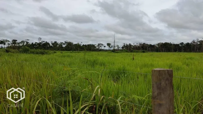 Fazenda à venda, m² por R$ 52.500.000,00 - 22 de Dezembro - Porto Velho/RO