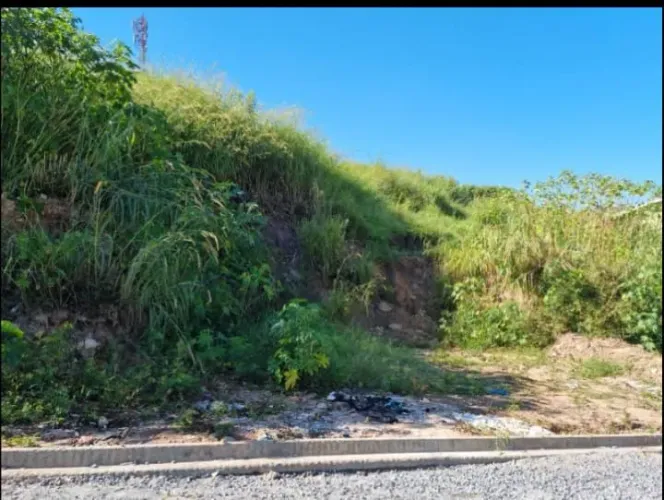 Terreno à venda, 300 m² por R$ 370.000,00 - Parque Continental II - Guarulhos/SP