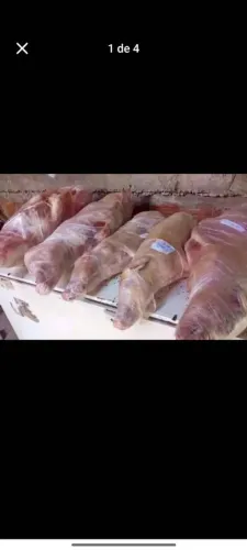 Vendo leitões abatidos pra seia de natal