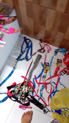 Acessórios para pets
