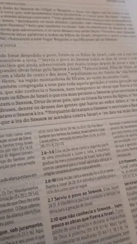 Bíblia Sagrada De Estudo Da fé reformada