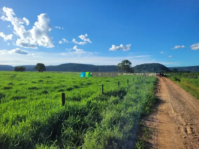 FAZENDA À VENDA - 2.279 HECTARES - ITACARAMBI (MG)