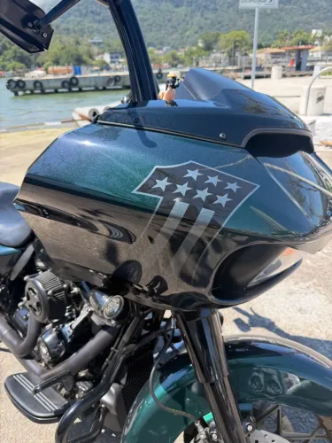 Harley Davidson Road Glide Snake Vemom