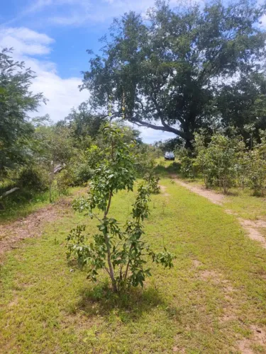 Terreno para Sitio 25x50m ou 50x50m
