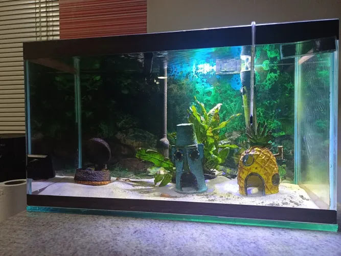 Aquário 38L
