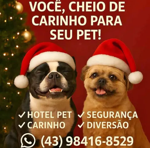 Pet hotel hospedagem para cães 
