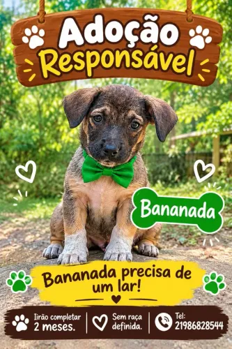 Adoçao responsável