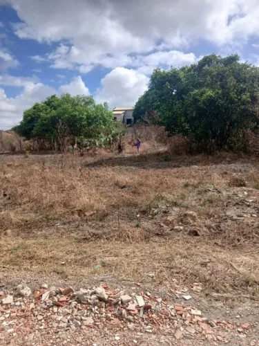 Terreno 8x25