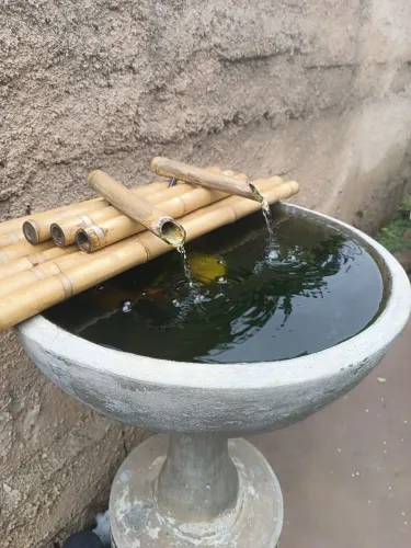 Fonte de água completa para jardim, varanda, área externa , peixes