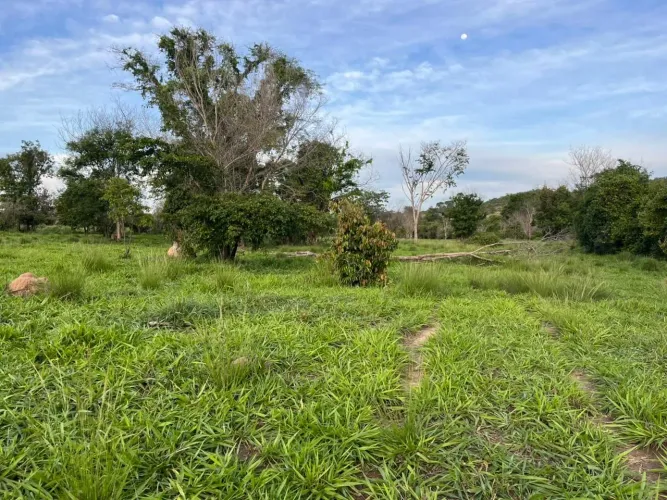 Fazenda a venda em Crixás 
