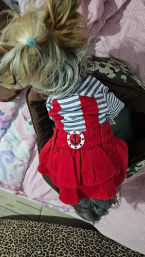 Roupa pet 